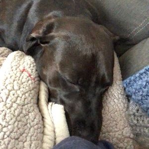 Meet your Posher, Dana